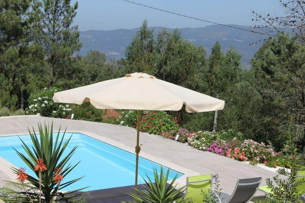 Casa Quelha Da Presa Villa Espinho  Luaran gambar