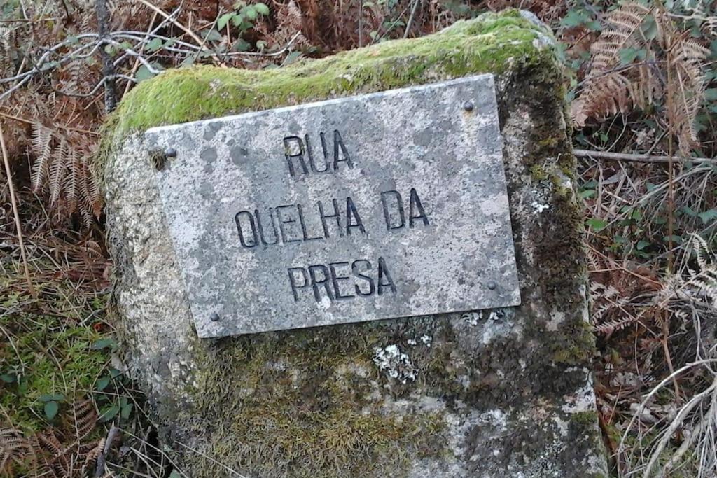 Casa Quelha Da Presa Villa Espinho  Luaran gambar