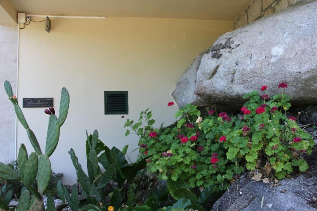 Casa Quelha Da Presa Villa Espinho  Luaran gambar